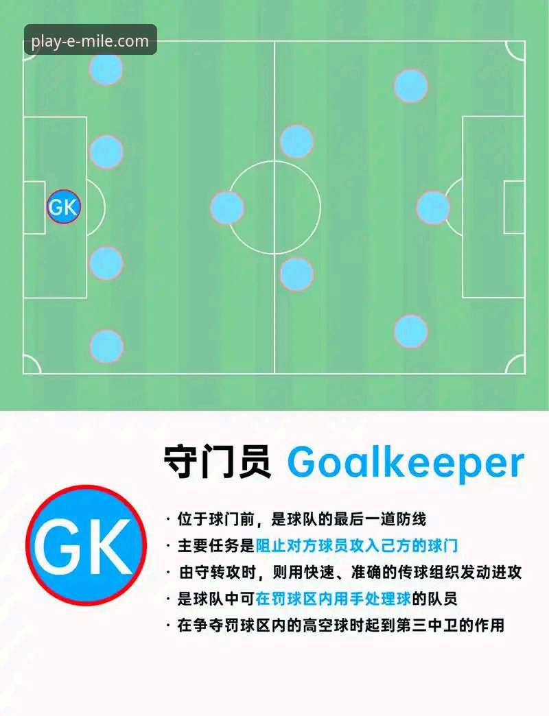 如何在米乐体育平台深度解析帕尼切利伤退世界杯事件：一份球迷进阶指南